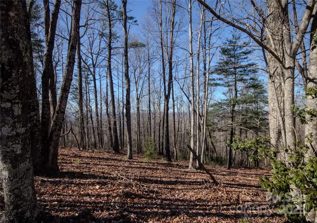 Photo 3 of Land for sale at 2212 Nighthawk Ridge Ct #29, Lenoir, NC 28645 | MLS# 4209728 | Listing updated on 2025-12-09