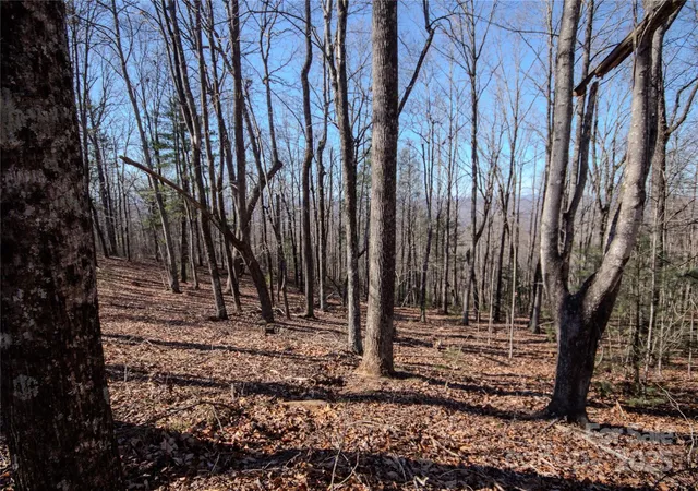 Photo 3 of Land for sale at 2212 Nighthawk Ridge Ct #29, Lenoir, NC 28645 | MLS# 4209728 | Listing updated on 2025-12-09