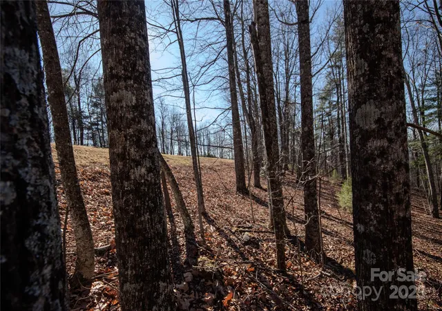 Photo 4 of Land for sale at 2212 Nighthawk Ridge Ct #29, Lenoir, NC 28645 | MLS# 4209728 | Listing updated on 2025-12-09