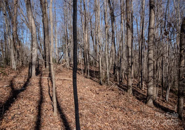 11th image of 2215 Nighthawk Ridge Ct #21, Lenoir, NC 28645 | MLS# 4209731