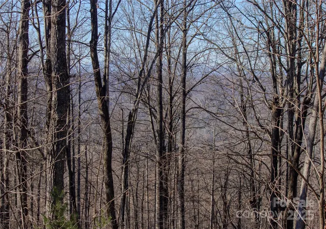 3rd image of 2216 Nighthawk Ridge Ct #30, Lenoir, NC 28645 | MLS# 4209735