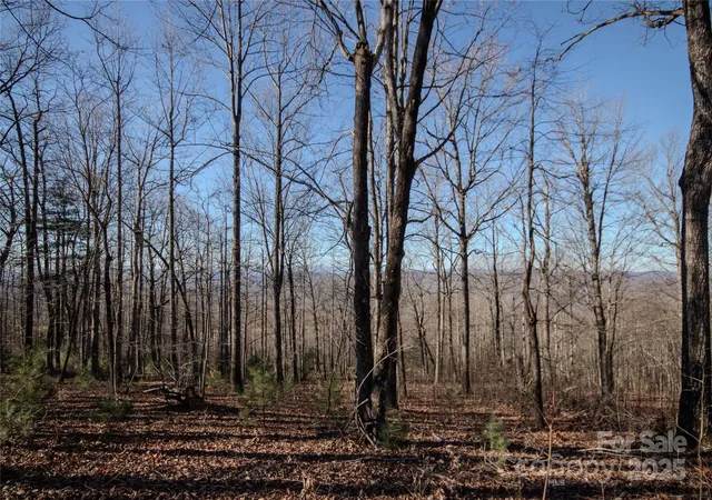 4th image of 2216 Nighthawk Ridge Ct #30, Lenoir, NC 28645 | MLS# 4209735