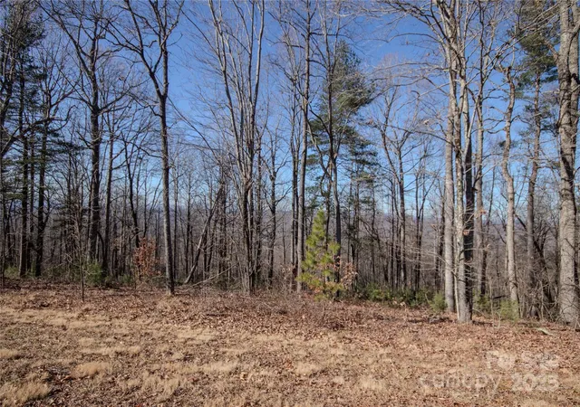 5th image of 2216 Nighthawk Ridge Ct #30, Lenoir, NC 28645 | MLS# 4209735