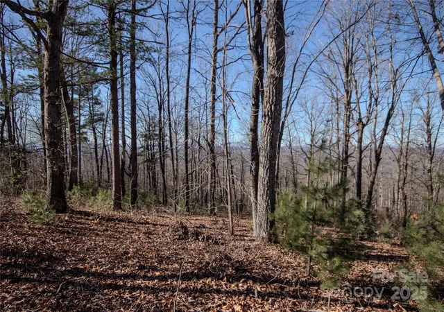 7th image of 2216 Nighthawk Ridge Ct #30, Lenoir, NC 28645 | MLS# 4209735