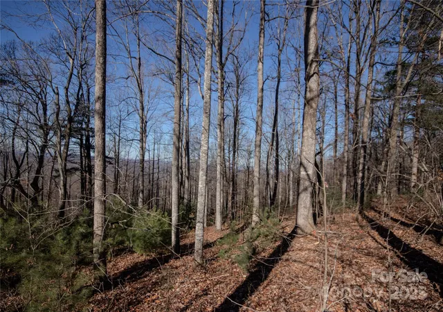 Photo 3 of Land for sale at 2220 Nighthawk Ridge Ct #31, Lenoir, NC 28645 | MLS# 4209747 | Listing updated on 2025-12-09