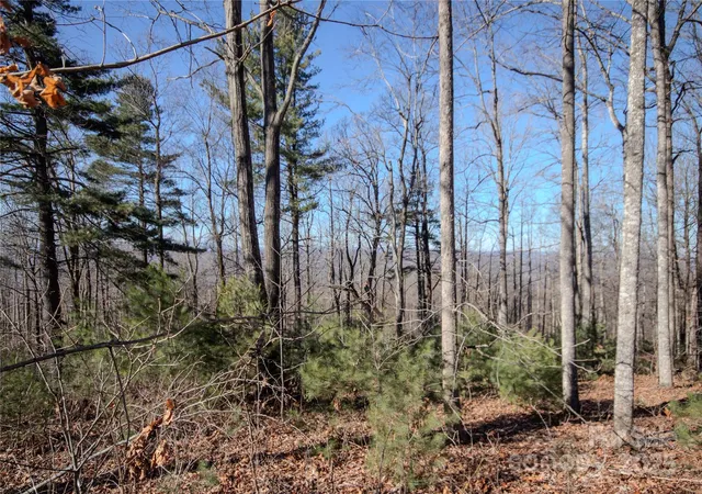Photo 4 of Land for sale at 2220 Nighthawk Ridge Ct #31, Lenoir, NC 28645 | MLS# 4209747 | Listing updated on 2025-12-09