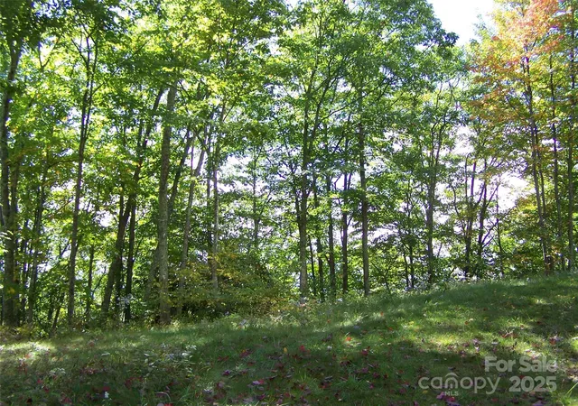 Photo 2 of Land for sale at 000 Fie Top Rd, Maggie Valley, NC 28751 | MLS# 4213696 | Listing updated on 2026-09-28
