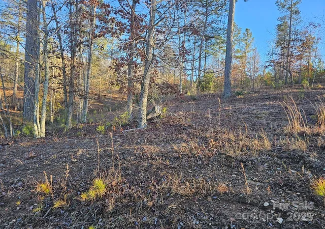 1st image of 2167 Inlet Shore Rd Ne, Connellys Springs, NC 28612 | MLS# 4213911