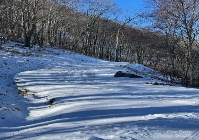 Photo 1 of Land for sale at 00 Wandering Trl #98, Waynesville, NC 28785 | MLS# 4214396 | Listing updated on 2026-08-18