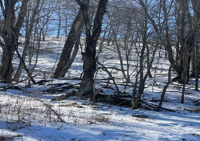 Photo 2 of Land for sale at 00 Wandering Trl #98, Waynesville, NC 28785 | MLS# 4214396 | Listing updated on 2026-08-18