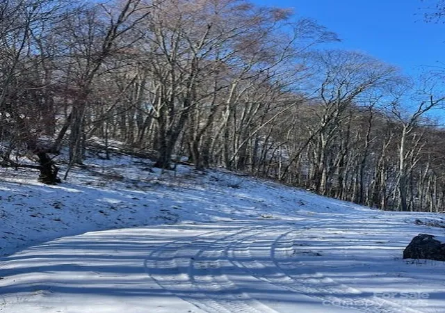 Photo 3 of Land for sale at 00 Wandering Trl #98, Waynesville, NC 28785 | MLS# 4214396 | Listing updated on 2026-08-18