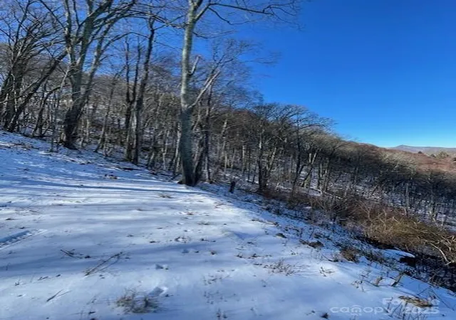 Photo 3 of Land for sale at 00 Wandering Trl #98, Waynesville, NC 28785 | MLS# 4214396 | Listing updated on 2026-08-18