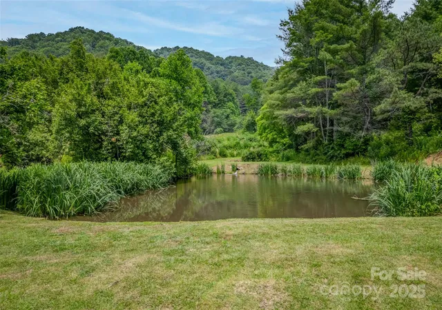 Photo 5 of Single family home for sale at 8749 Nc 63 Hwy, Leicester, NC 28748 | MLS# 4214996 | Listing updated on 2026-08-06