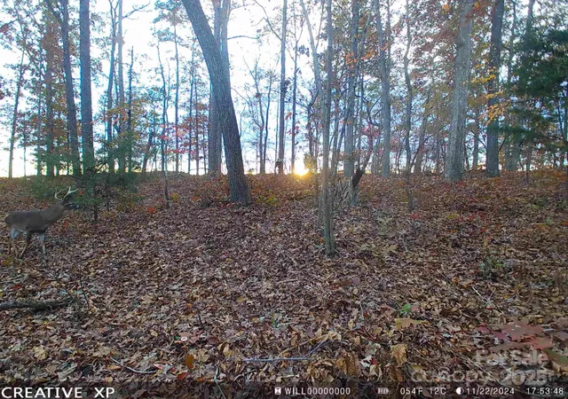 14th image of 7210 Mission Rd, Mount Pleasant, NC 28124 | MLS# 4215063