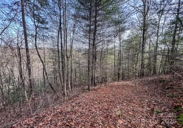 Photo 4 of Land for sale at 0000 Stepp Ridge Ct, Hendersonville, NC 28792 | MLS# 4215202 | Listing updated on 2026-04-10