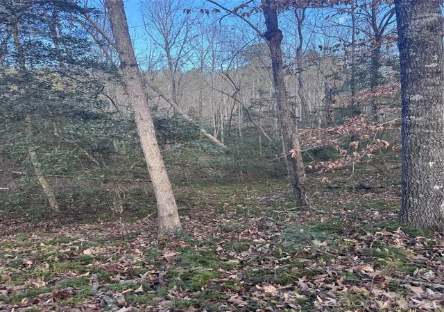 Photo 2 of Land for sale at 0 Hearthstone Dr #70, Union Mills, NC 28167 | MLS# 4215342 | Listing updated on 2026-10-05