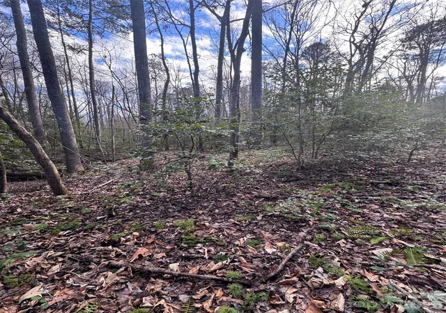 Photo 3 of Land for sale at 0 Hearthstone Dr #70, Union Mills, NC 28167 | MLS# 4215342 | Listing updated on 2026-10-05