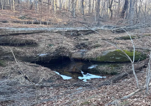 Photo 1 of Land for sale at 0 Creekside Cir #126, Rutherfordton, NC 28139 | MLS# 4215345 | Listing updated on 2026-10-05