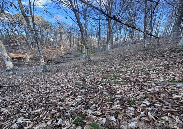 Photo 2 of Land for sale at 0 Creekside Cir #126, Rutherfordton, NC 28139 | MLS# 4215345 | Listing updated on 2026-10-05