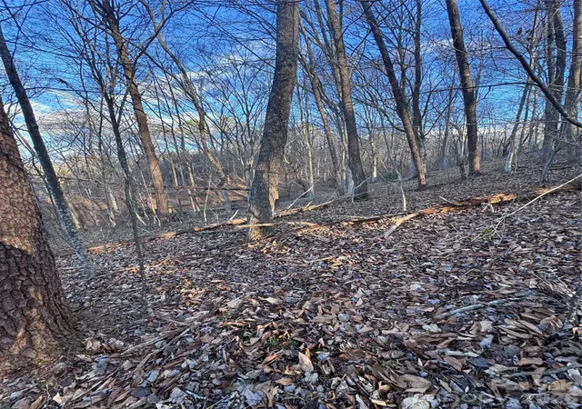 Photo 4 of Land for sale at 0 Creekside Cir #126, Rutherfordton, NC 28139 | MLS# 4215345 | Listing updated on 2026-10-05