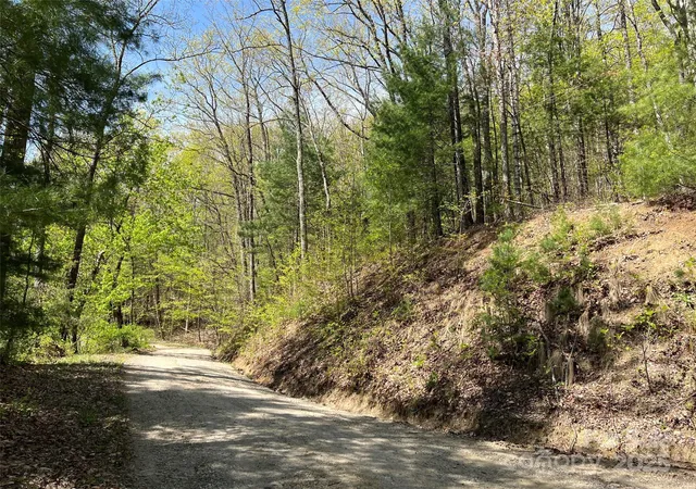 3rd image of 00 Hidden Trl, Franklin, NC 28734 | MLS# 4215487