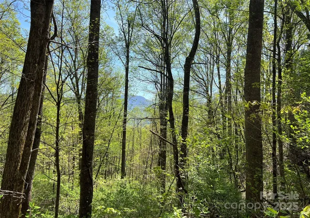 4th image of 00 Hidden Trl, Franklin, NC 28734 | MLS# 4215487
