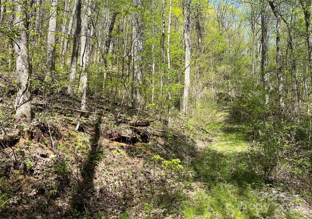 5th image of 00 Hidden Trl, Franklin, NC 28734 | MLS# 4215487