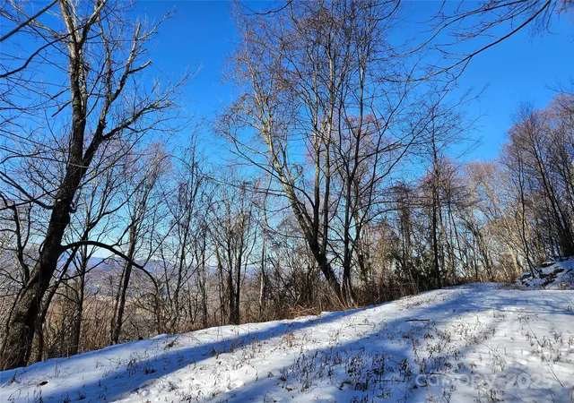 Photo 1 of Land for sale at 00 Marney's Vista Rd, Waynesville, NC 28786 | MLS# 4216309 | Listing updated on 2026-02-02