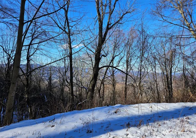 Photo 2 of Land for sale at 00 Marney's Vista Rd, Waynesville, NC 28786 | MLS# 4216309 | Listing updated on 2026-02-02
