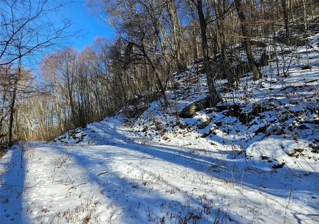 Photo 3 of Land for sale at 00 Marney's Vista Rd, Waynesville, NC 28786 | MLS# 4216309 | Listing updated on 2026-02-02