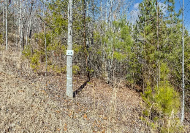 1st image of Tbd Coal Pit Mountain Rd, Nebo, NC 28761 | MLS# 4217727
