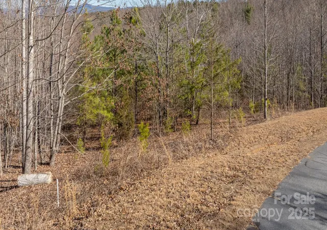 2nd image of Tbd Coal Pit Mountain Rd, Nebo, NC 28761 | MLS# 4217727