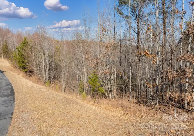 3rd image of Tbd Coal Pit Mountain Rd, Nebo, NC 28761 | MLS# 4217727