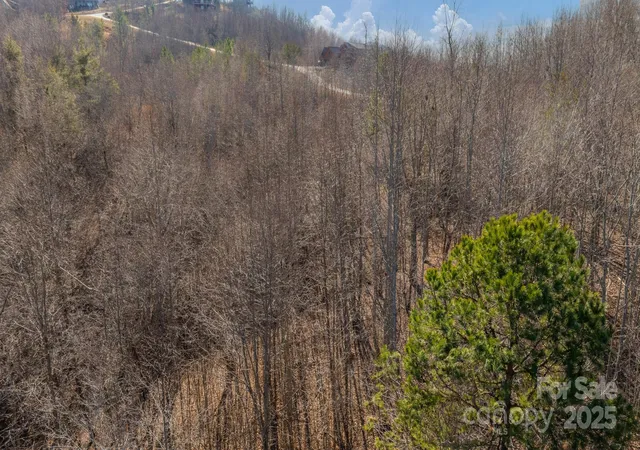 5th image of Tbd Coal Pit Mountain Rd, Nebo, NC 28761 | MLS# 4217727