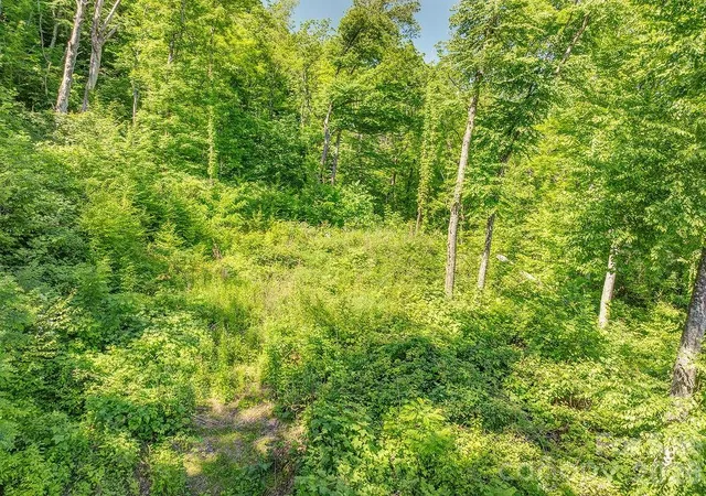 5th image of 93 Patchens Estate Rd #17, Waynesville, NC 28786 | MLS# 4218927