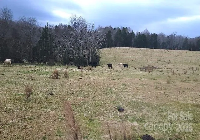 Photo 3 of Land for sale at Tbd Willie Usher Rd, Lancaster, SC 29720 | MLS# 4219339 | Listing updated on 2026-04-15