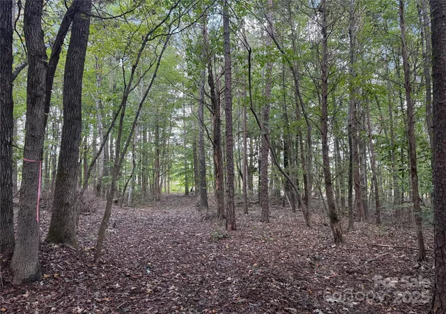 4th image of 0 Huey Rd #10,11, Waxhaw, NC 28173 | MLS# 4222944