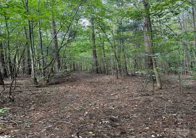 5th image of 0 Huey Rd #10,11, Waxhaw, NC 28173 | MLS# 4222944