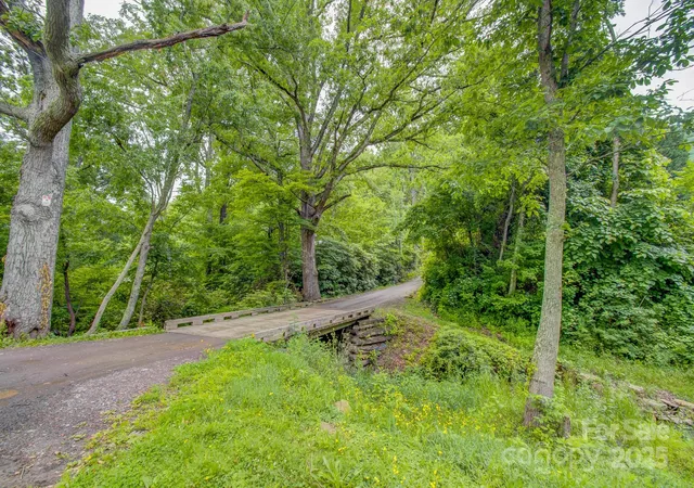 Photo 5 of Land for sale at 99999 Dark Cvs Rd, Leicester, NC 28748 | MLS# 4223168 | Listing updated on 2026-02-25