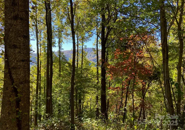 Photo 2 of Land for sale at 501 Warbler Ln #T-62, Black Mountain, NC 28711 | MLS# 4223527 | Listing updated on 2026-08-07