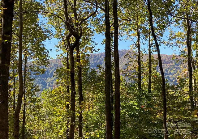 Photo 1 of Land for sale at 501 Warbler Ln #T-62, Black Mountain, NC 28711 | MLS# 4223527 | Listing updated on 2026-08-07