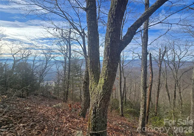 Homes for sale in Cullowhee, NC | 0000 Black Mountain Rd #52, Cullowhee, NC 28723 | MLS# 4223939