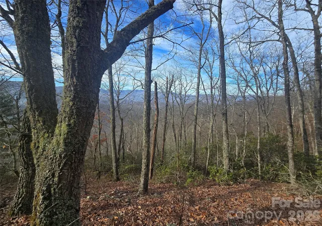 Homes for sale in Cullowhee, NC | 0000 Black Mountain Rd #52, Cullowhee, NC 28723 | MLS# 4223939