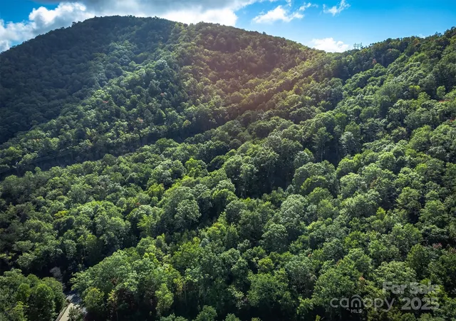 35th image of 66 Sisters View Dr #159, Black Mountain, NC 28711 | MLS# 4225340