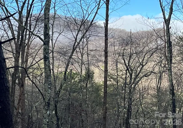 Photo 3 of Land for sale at 00 Ridgecrest Dr, Lake Lure, NC 28746 | MLS# 4226013 | Listing updated on 2026-09-30