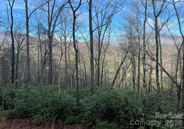 Photo 4 of Land for sale at 00 Ridgecrest Dr, Lake Lure, NC 28746 | MLS# 4226013 | Listing updated on 2026-09-30