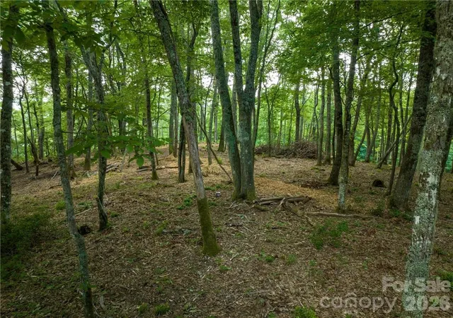 Photo 37 of Single family home for sale at 167 Bold Springs Rd, Sylva, NC 28779 | MLS# 4226019 | Listing updated on 2026-10-06