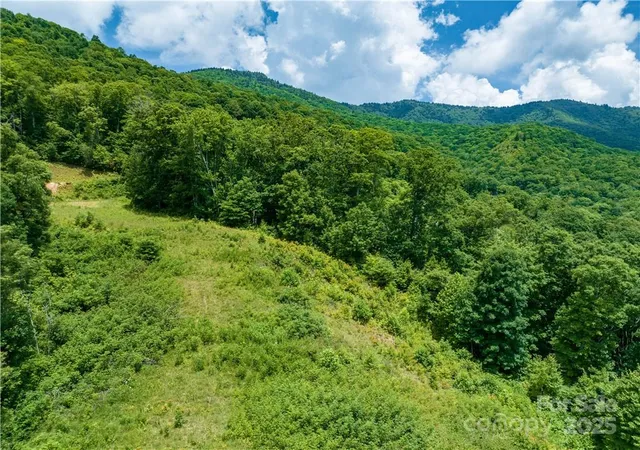 Photo 12 of Land for sale at 3867 Parris Branch Rd, Sylva, NC 28779 | MLS# 4226026 | Listing updated on 2026-06-04