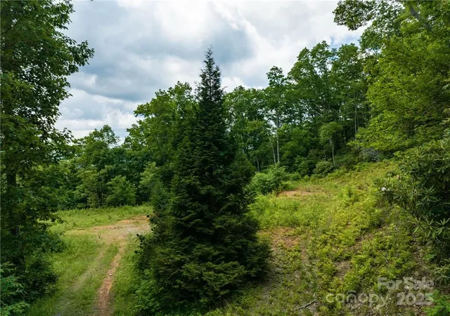Photo 4 of Land for sale at 3867 Parris Branch Rd, Sylva, NC 28779 | MLS# 4226026 | Listing updated on 2026-06-04