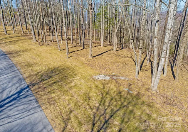 2nd image of 000 16 East Garden Trl #16, Hendersonville, NC 28792 | MLS# 4226218
